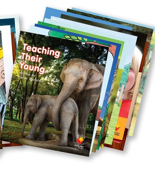 Flying Start to Literacy-Phonics - Student Decodable Book Module 3 - Unit 7