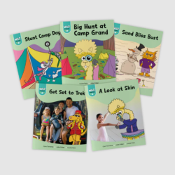 Wild Detectives Stage 5