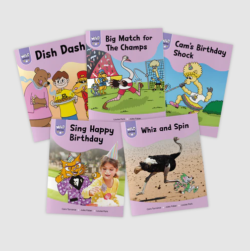 Wild Detectives Stage 6