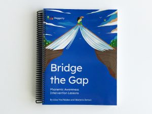 Bridge The Gap (Phonemic Intervention Resource by Heggerty)