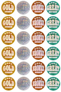 SR703 Holographic Medal Stickers (96)