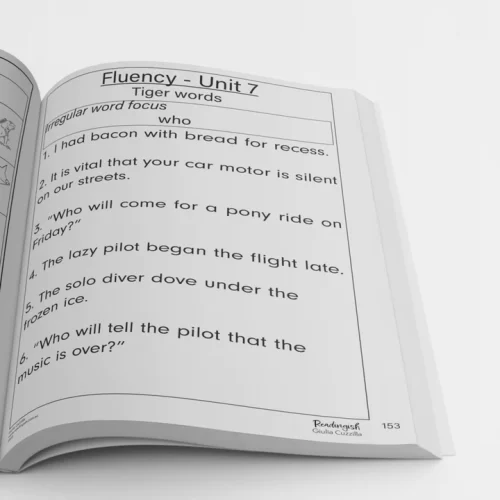 The MSL Workbook Book 3 - Image 6