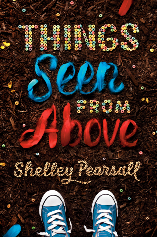 Things Seen From Above by Shelley Pearsall