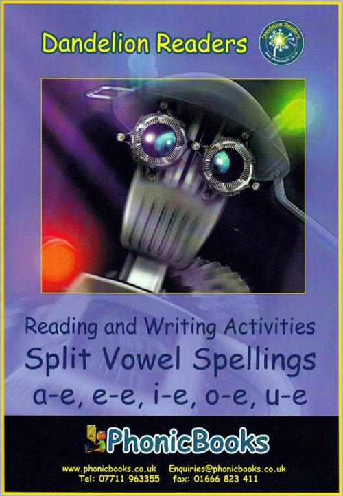 WR 10 Dandelion Split Vowel Spellings Workbook (for DR9 readers) decodable
