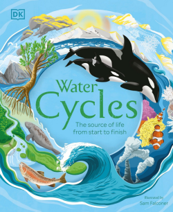 Water Cycles by DK